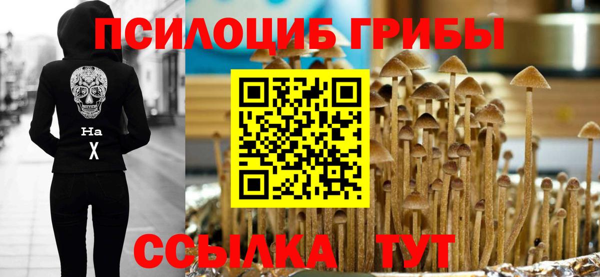 Псилоцибиновые грибы Psilocybe Евпатория
